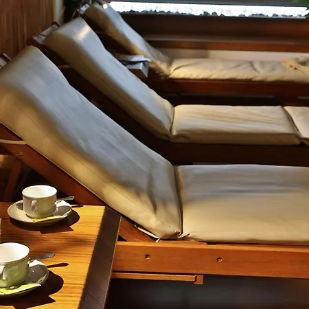 Western Globus Forlì